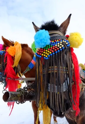 Зимнее путешествие из Карса в Эрзурум