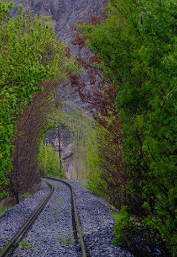 Kemaliye Divriği Sivas Turu