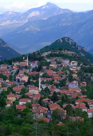 Тур по домам с пуговицами в Ормане