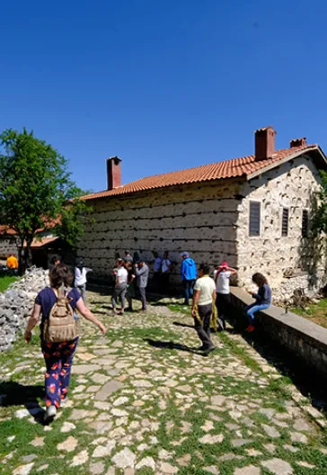 Тур по домам с пуговицами в Ормане