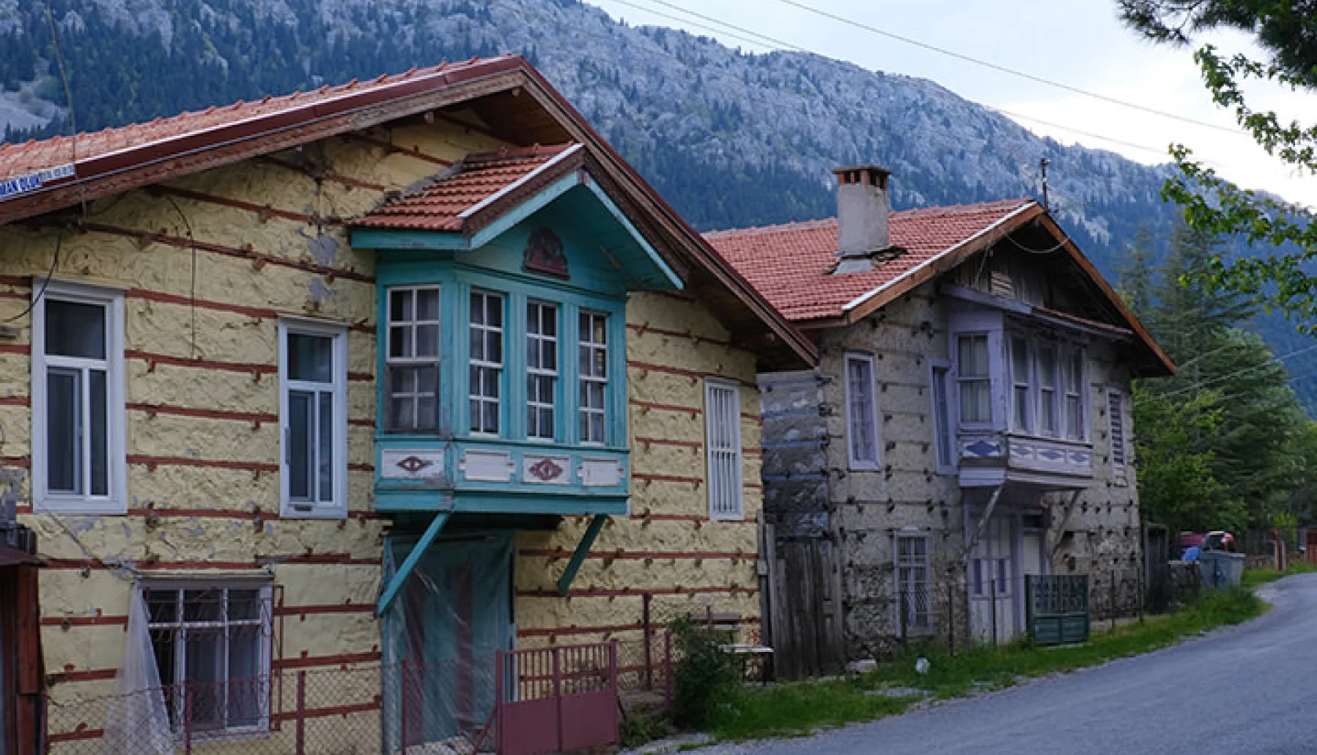 Ormana Düğmeli Evler Turu