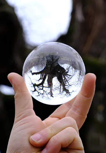 Тур по домам с пуговицами в Ормане