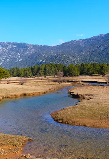 Тур по домам с пуговицами в Ормане