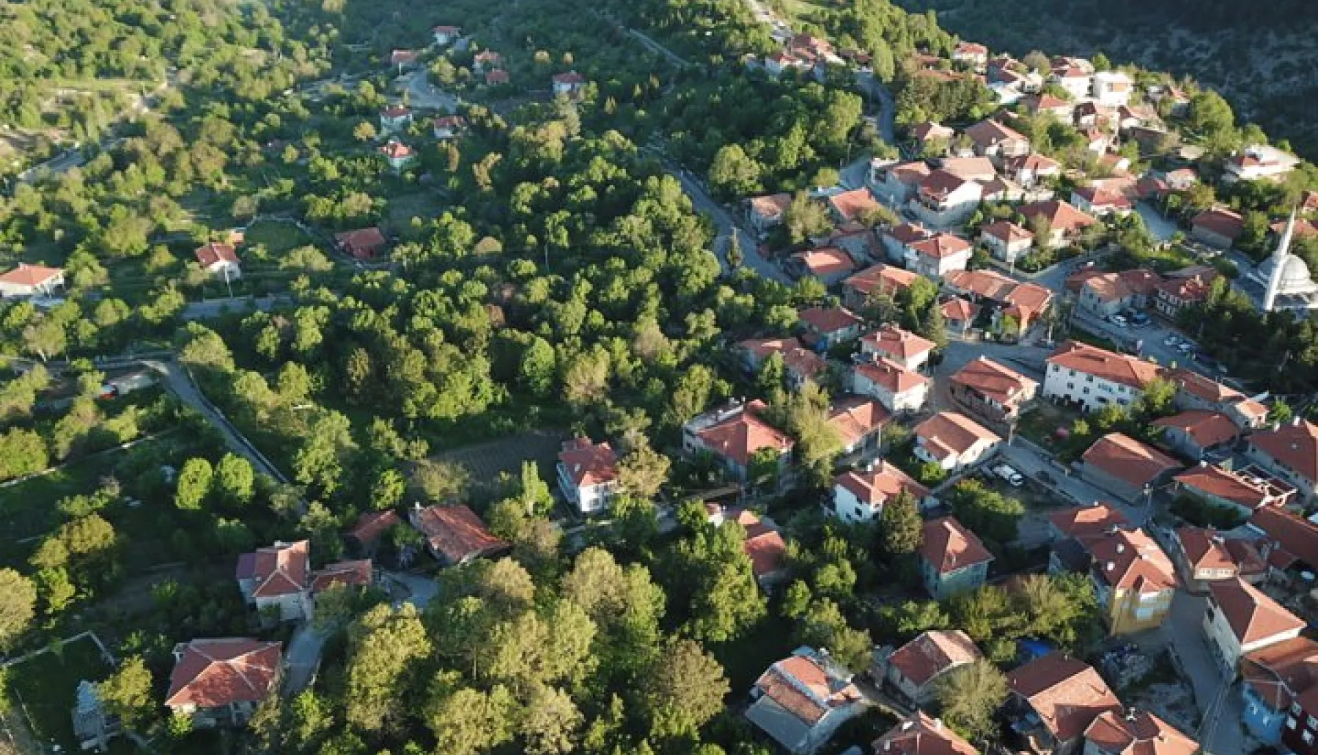Ormana Düğmeli Evler Turu