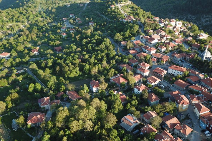 ormana-dugmeli-evler-5e9f1446c1039