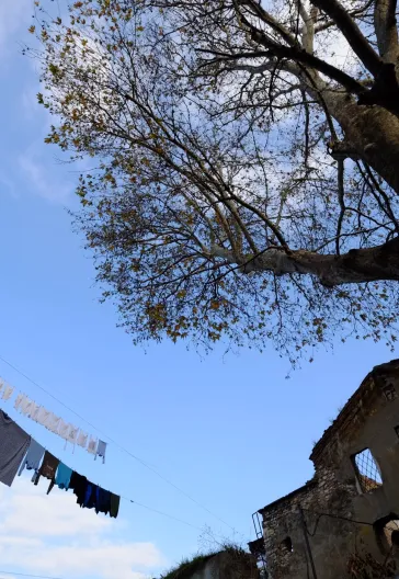 Şehr-İ İstanbul - Fener Balat Ayvansaray