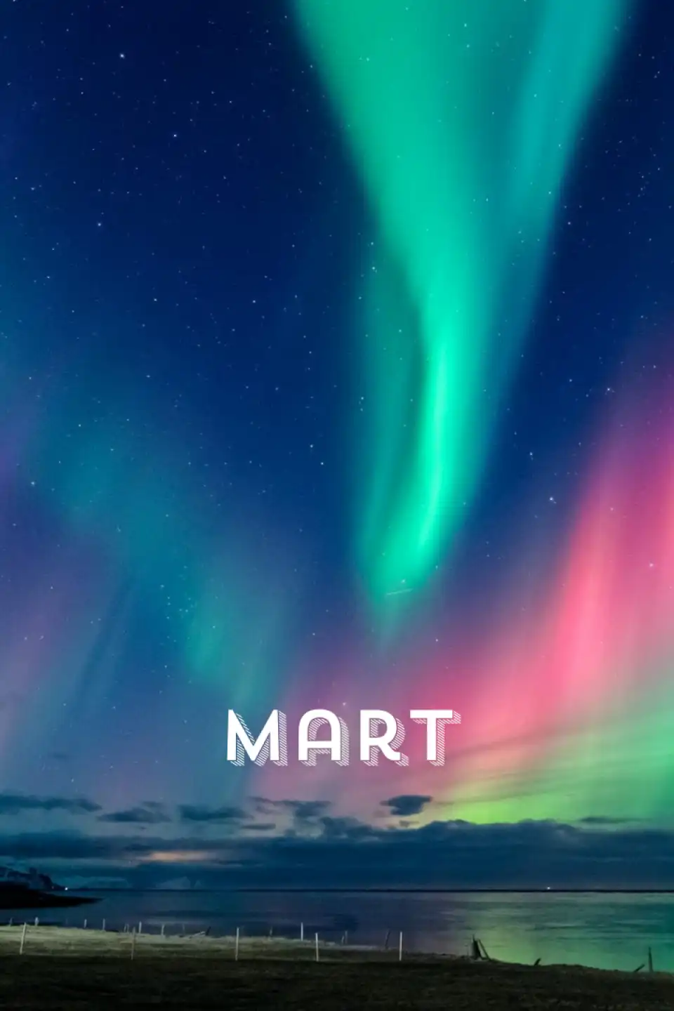 Mart Ayı Turları