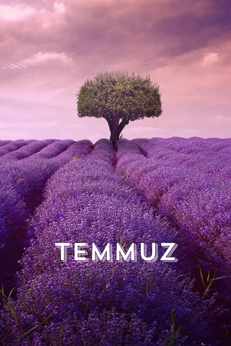 Temmuz Ayı Turları