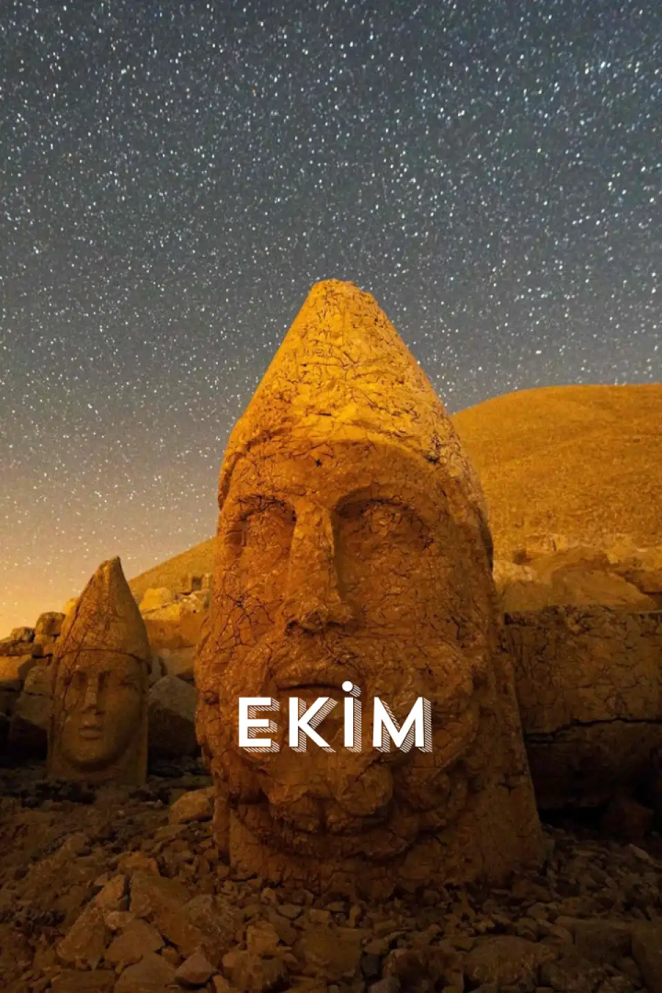 Ekim Ayı Turları